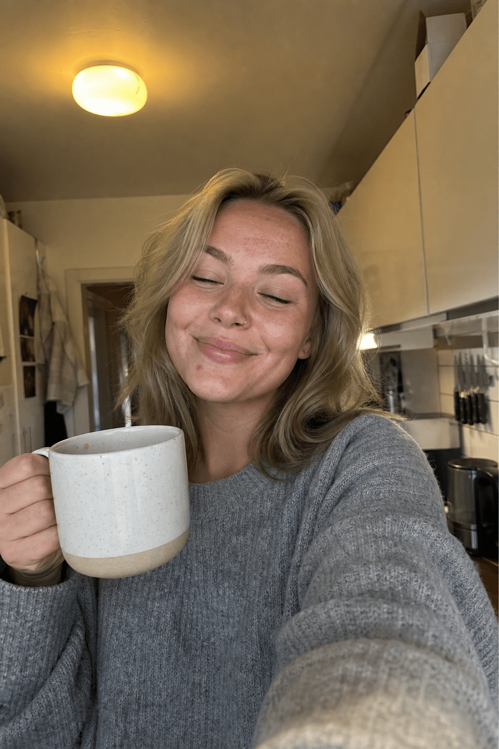 Freja — AI companion